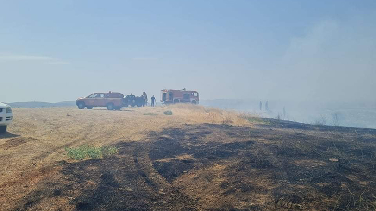 Φωτιά στη Φυλή Αττικής